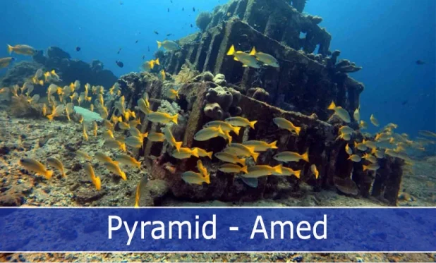 These artificial reef structures resemble ancient pyramids, providing a haven for diverse marine life